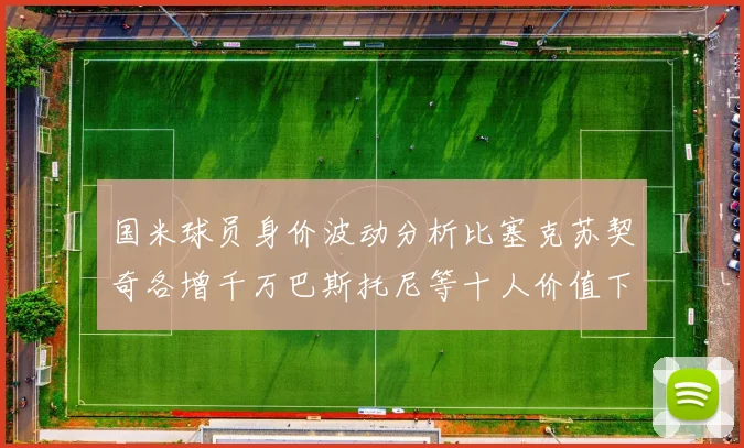 国米球员身价波动分析比塞克苏契奇各增千万巴斯托尼等十人价值下滑